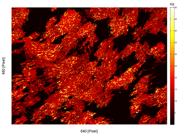 Heatmap 3D-Gewebemodelle