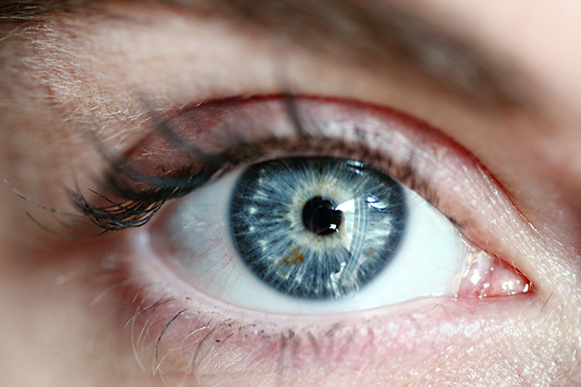 In-vitro-Models Eye Cornea
